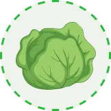 实时赔率，精准预测 - 世界杯竞猜