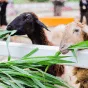探索足球世界的精彩 - 世界杯竞猜